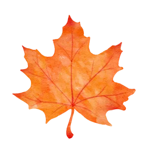 fall.png | B Mays Heating and Air Conditioning