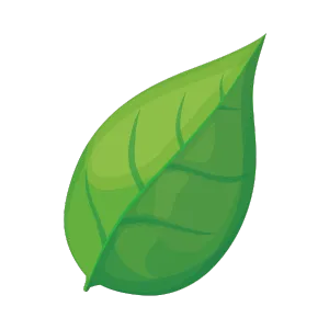 spring.png | B Mays Heating and Air Conditioning